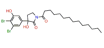 Convolutamide A